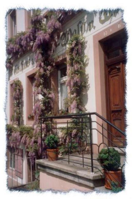 Lemberg Gasthaus Neupert מראה חיצוני תמונה
