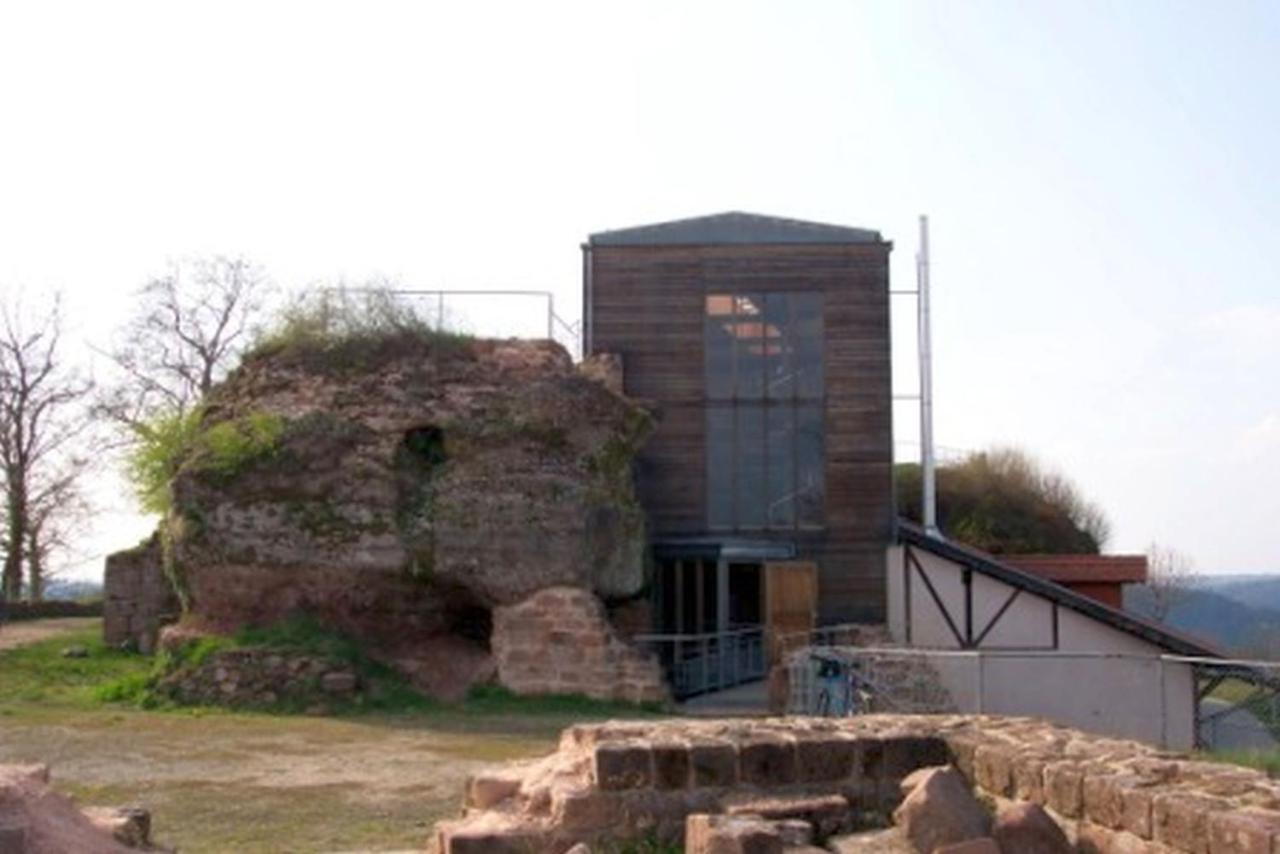 Lemberg Gasthaus Neupert מראה חיצוני תמונה